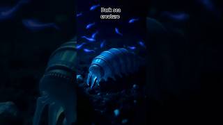 Dark sea creature shortsgadgetschallengefactsviralvideoamazingamazinginformativeinformation [upl. by Ablasor]