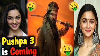 Pushpa 3 The Rampage  Devi amp Chamunda  Maddock Cinematic Universe  Review  Shree Bollywood [upl. by Sal]