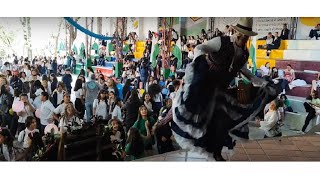 Encuentro de procesos pedagógicos creativos y reflexivos desde el aula Ciudad escuela Medellín [upl. by Limber958]