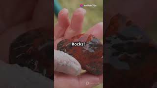 Minerals vs Rocks Whats the Difference [upl. by Carlina]