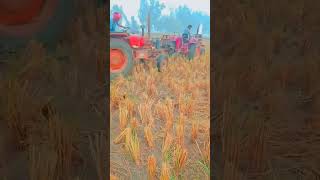 Pharming 🌾🌾 Mahindra ki Bolero 265 vsfreefirelovers [upl. by Jase]