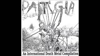 Pantalgia  An International Death Metal Compilation 1992 CD Rip [upl. by Airdnaxela]