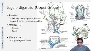 Lymphatics of Head and Neck [upl. by Arah]