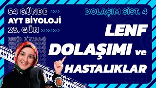 25 Lenf Dolaşımı  Dolaşım Sistemi  11 Sınıf Biyoloji  2024 AYT Biyoloji Kampı 25 Gün [upl. by Louis]