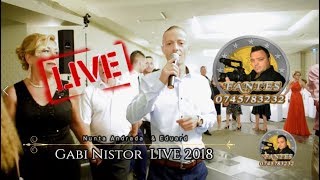 Gabi Nistor colaj SARBE pe sistem nervos LIVE 2018 Nunta Andrada amp Eduard Hotel Parc [upl. by Torre]