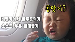 6시간 비행기도 잘타는 19개월 아기ㅣ한번도 울지 않음 싱가포르여행 대한항공기내식 아기해외여행 [upl. by Apeed218]