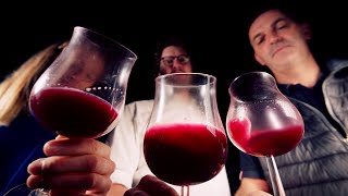 Preview WineMasters France Beaujolais S5E2 [upl. by Robaina]