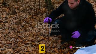 Unraveling Crime Scenes The Science of Forensics [upl. by Kiley]