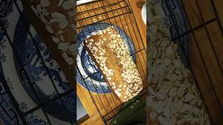 Baking Homemade Oat Bread baking bread homemade glutenfree oats ashleyqurollo [upl. by Nicram]