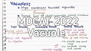 Vacuole  NMDCAT 2022  Cell Biology [upl. by Astor]