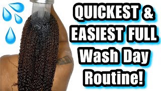 QUICKEST amp EASIEST FULL Wash Day Yet Full Wash N Go Routine On Type 4 Natural Hair  Holiday Styles [upl. by Avenej]