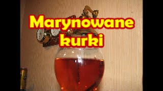 Marynowane kurki  Kwestia Smaku [upl. by Odab]