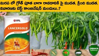 Lancer gold  upl Lancergold telugu  Lancer gold insecticide uses  UPL Lancer gold imidacloprid [upl. by Woodhouse]