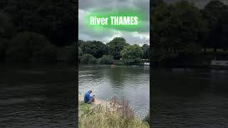 Stunning Views of the River Thames from Hampton Court Palace A Perfect Day of Tranquility [upl. by Nailij886]