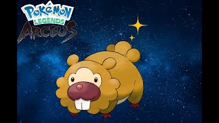 Pokemon Legends Arceus SHINY RANDOM BIDOOF [upl. by Ronen639]