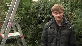 Martijn 16 verzamelt alle kerstbomen in Vianen voor de versnipperaar RTV Utrecht [upl. by Nnawaj]