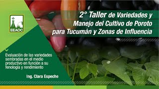 05 Taller de Cultivo de Poroto [upl. by Droffig]