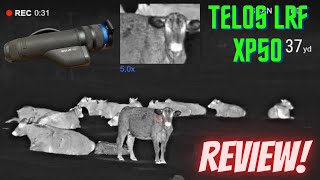 Pulsar Telos LRF XP50 New Favorite Monocular [upl. by Feldstein304]