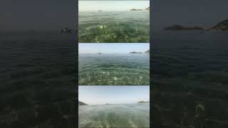 CORFU Agios Georgios Pagon  see long Corfuvideos on my channel corfubeaches agiosgeorgios [upl. by Yrdua]