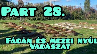 Part 28 Fácán és mezei nyúl vadászat Kecskemét Városföldön [upl. by Ioj]