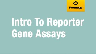 Introduction to Reporter Gene Assays [upl. by Elsi]