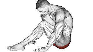 The 12 Best Mobility Exercises for Better Movement [upl. by Stoughton354]