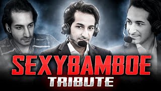 SexyBamboe  2 Years Anniversary Tribute Movie Dota 2 [upl. by Anillek]