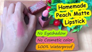 How to make nude lipstick at homehomemade lipsticknude lipstickdiy matte lipstickSajal Malik [upl. by Immac621]