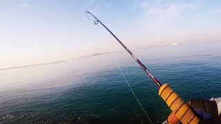 Super Ultralight Rod Field Test with Soft Plastic [upl. by Adnaloj]