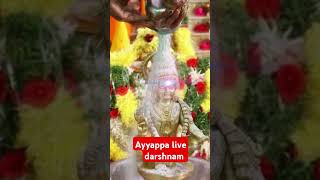 Ayyappa live darshanam tamil song tamilsong ayyappabhakthisongs [upl. by Annahc]