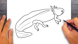 How to draw Axolotl Easy [upl. by Ringler544]