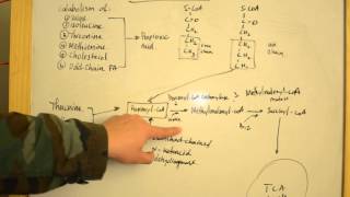 Proprionic Acidemia  Simplified Explanations for USMLE Step 1 [upl. by Arriet]