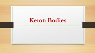 11keton bodie ketogenesis amp ketolysis biochemistry شرح بالعربي [upl. by Ariamat669]