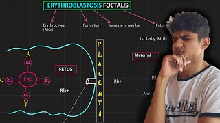 Multiple alleles  ABO  Erythroblastosis fetalis  MDCAT Biology [upl. by Julieta]