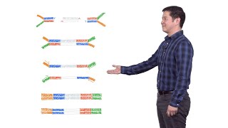 Next Generation Sequencing 2 Illumina NGS Sample Preparation  Eric Chow UCSF [upl. by Lebezej]