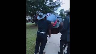 SMH Big girl breaks a horse back [upl. by Eliades]