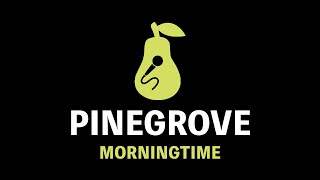 Pinegrove  Morningtime Karaoke [upl. by Eciral]