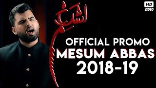 Mesum Abbas Nohay 2018 Promo  Muharram 1440H Nohay Promo  New Nohay 2019 Promo [upl. by Otiragram]