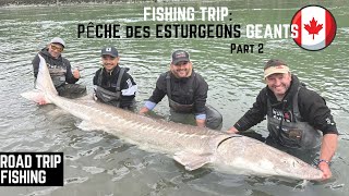 PÊCHE DES ESTURGEONS GÉANTS 🇨🇦 PART 2 [upl. by Eiramanit]