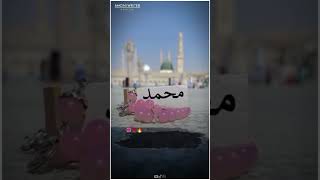 Madina sharif support subscribe beautiful subscribe OfficialItsAli2010 islamically [upl. by Saenihp]