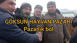 30 Ocak 2024 KAHRAMANMARAŞ GÖKSUN HAYVAN PAZARI [upl. by Leake126]