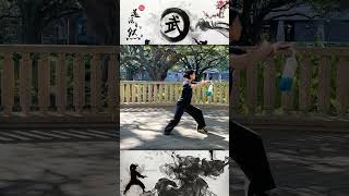 32 Movements Taijijian martialarts wushu kungfu taolu taichi [upl. by Mafalda]