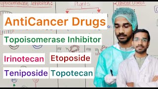 Topoisomerase Inhibitor  Irinotecan  Topotecan  Etoposide  Teniposide [upl. by Eiramanig856]