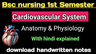 Cardiovascular system Anatomy and physiology bsc nursing 1st Semester [upl. by Kali576]