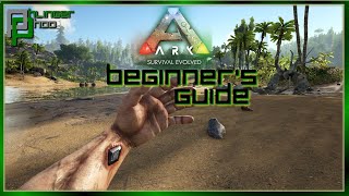 BEGINNERS GUIDE  HOW TO GET STARTED IN ARK SURVIVAL EVOLVED Soloing the Ark S5E1 [upl. by Eveleen447]