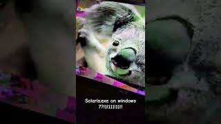 Solarisexe on windows 711 [upl. by Margo]