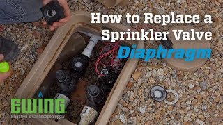 How to Replace a Sprinkler Valve Diaphragm [upl. by Ycul]