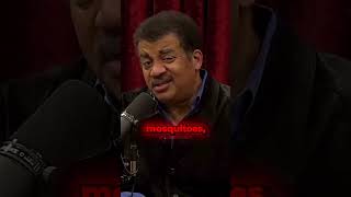 Nobody CARES About Bugs ⁉️🪲 Neil deGrasse Tyson Explains [upl. by Balmuth]