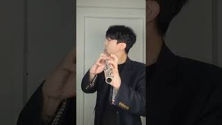 flute beatbox [upl. by Ellimak]