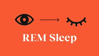 Why REM sleep is your brains superpower—and 3 ways to trigger more of it  Patrick McNamara [upl. by Atiuqcaj]